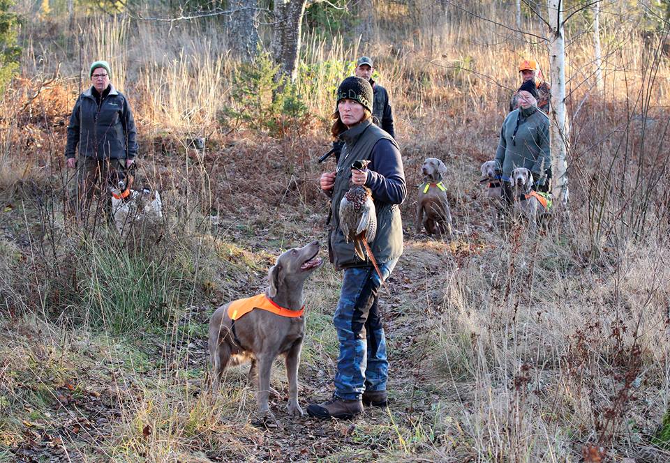 15193420 10207666388319528 621308528676000879 n